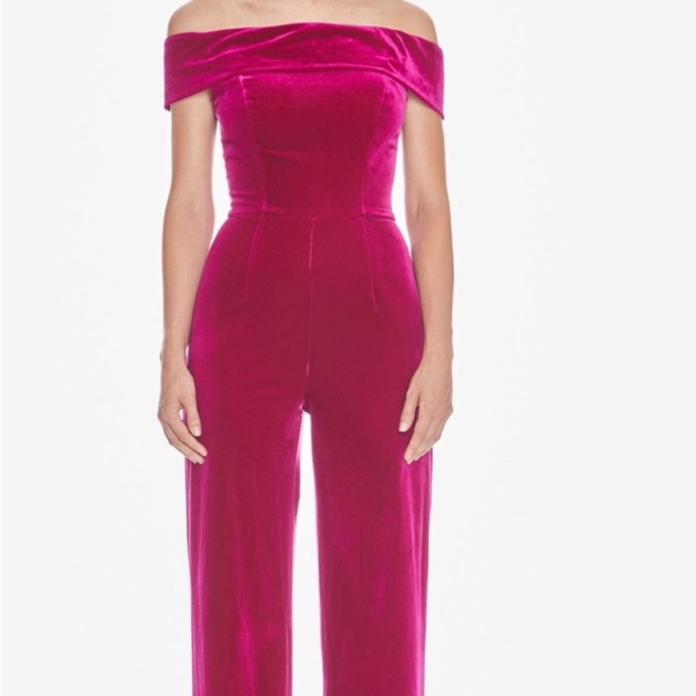 Ashley Lauren Velvet Jumpsuit